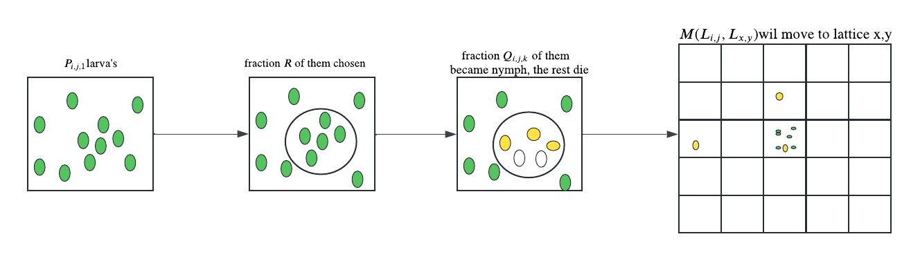 Tick model diagram