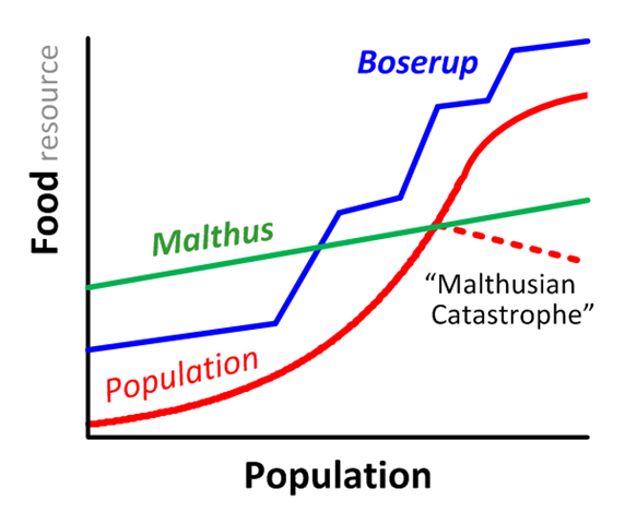 Comparison of Boserup's and Malthus's theories on population and resources